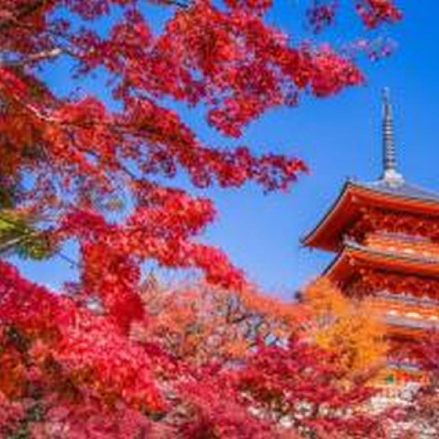 むつみ庵此花401 公寓